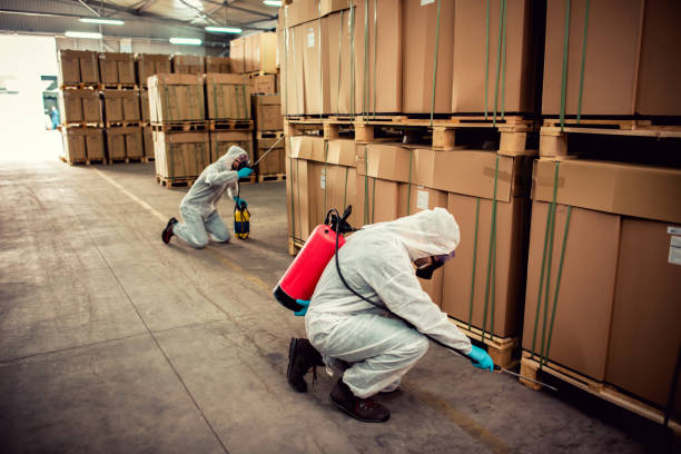 Best Rat Extermination Near Me  in South Zanesville, OH