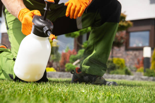 Best Ant Control Services  in South Zanesville, OH