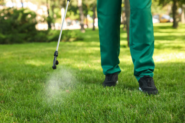 Reliable South Zanesville, OH Pest Control Solutions