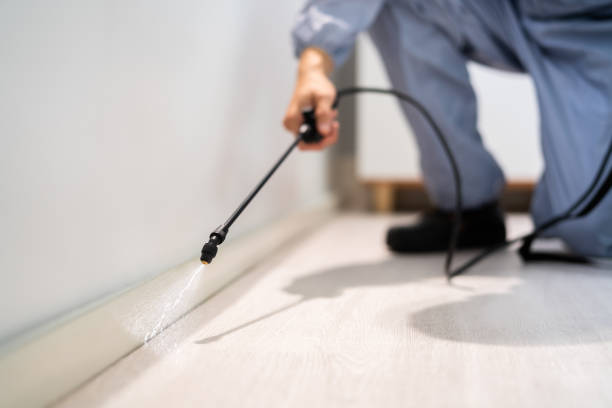 Best Best Pest Control Companies  in South Zanesville, OH