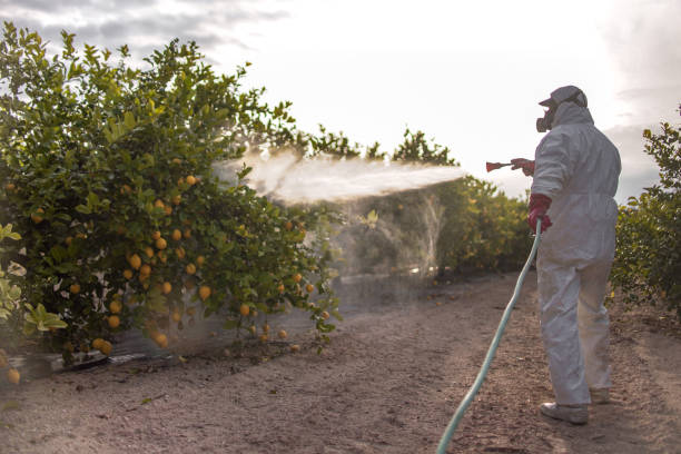 Best Emergency Pest Control  in South Zanesville, OH