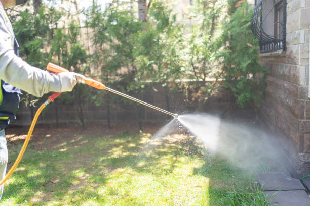Best Flea Control Services  in South Zanesville, OH