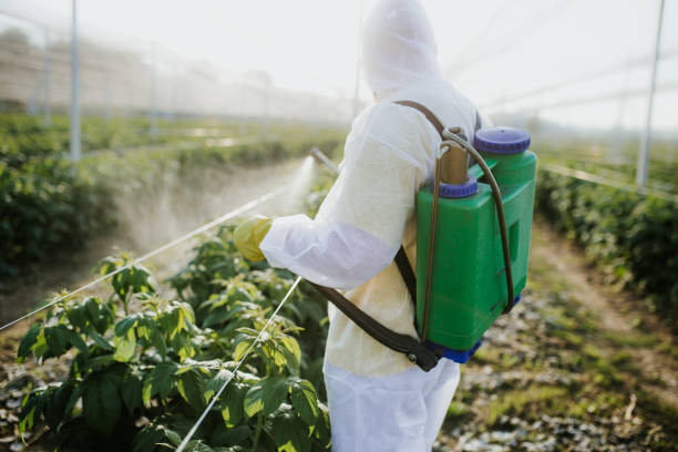 Best Pest Inspection Near Me  in South Zanesville, OH